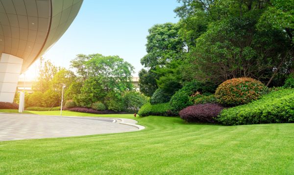 Commercial Shrub Trimming in Topeka