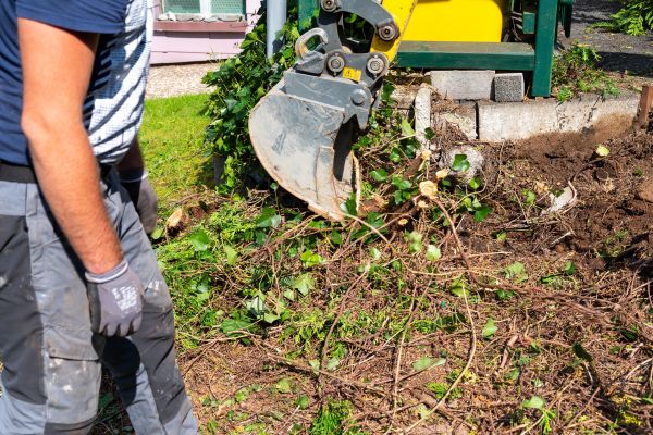 Hedge Removal Service in Topeka