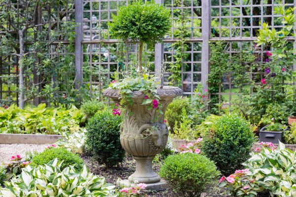 Cost of Topiary Pruning in Topeka