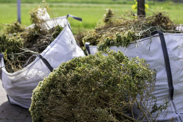 Cost of Shrubs Removal in Topeka