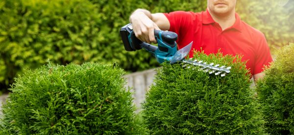 Cost of Hedge Shaping Service in Topeka