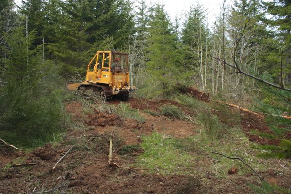 Cost of Shrubbery Clearing in Topeka