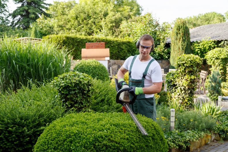 Landscaper Shaping a Large Shrub
